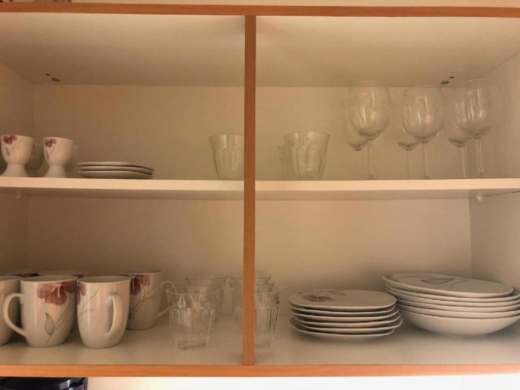 Apartmans V Arealu Vlnena Brno Extérieur photo